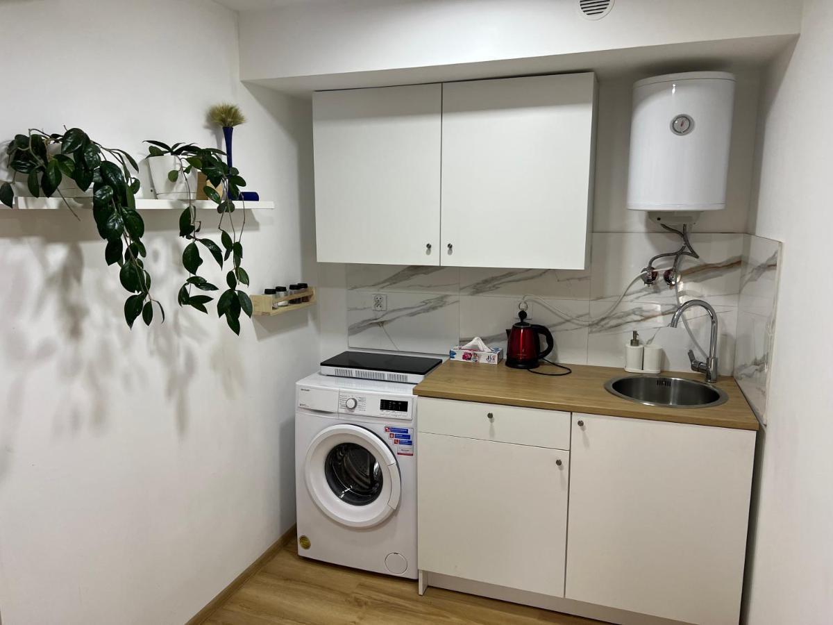 Green Apartment - Free Parking Katowice Buitenkant foto
